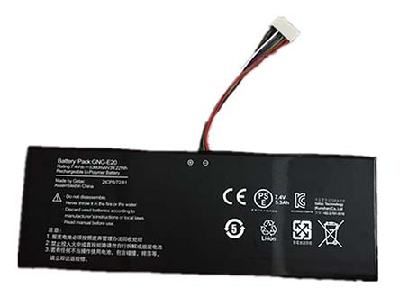 GNG-E20