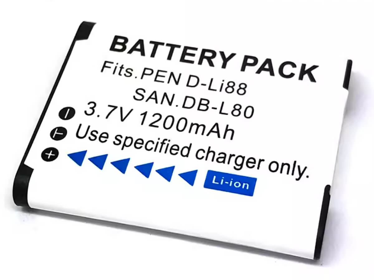 kompatibel mit SANYO VPC-CG10GX
