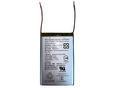 kompatibel mit SONY MP-CD1